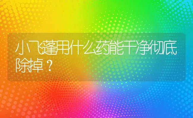 小飞蓬用什么药能干净彻底除掉? | 养殖知识