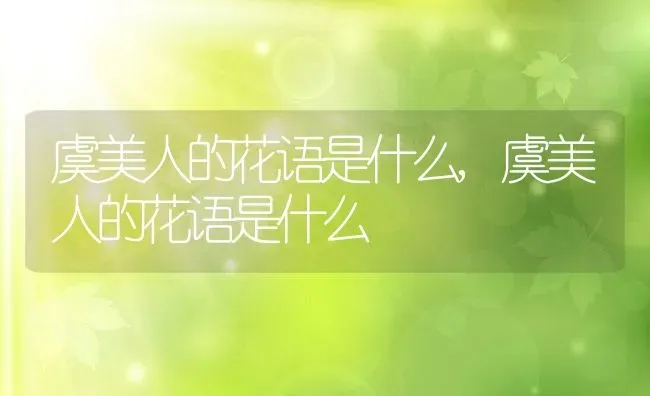 虞美人的花语是什么,虞美人的花语是什么 | 养殖科普