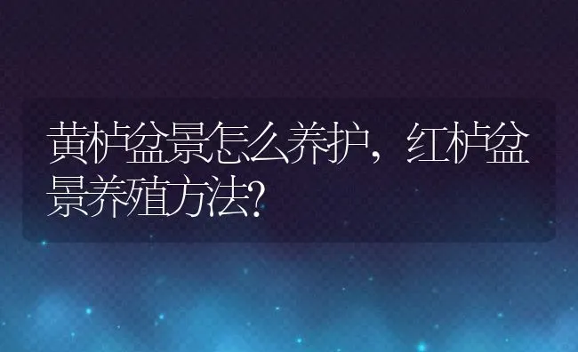黄栌盆景怎么养护,红栌盆景养殖方法？ | 养殖科普