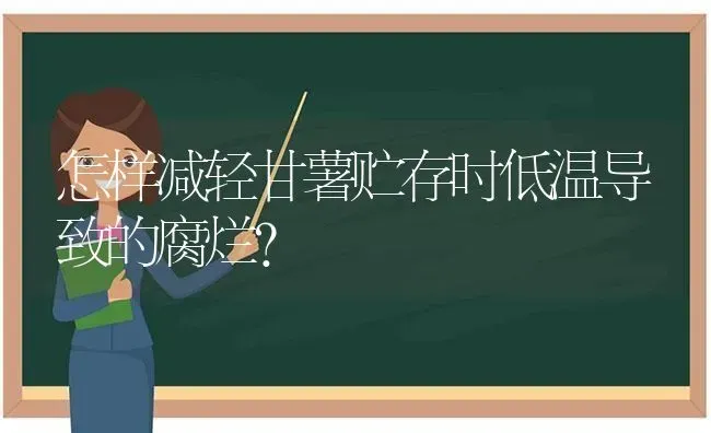 怎样减轻甘薯贮存时低温导致的腐烂? | 养殖知识