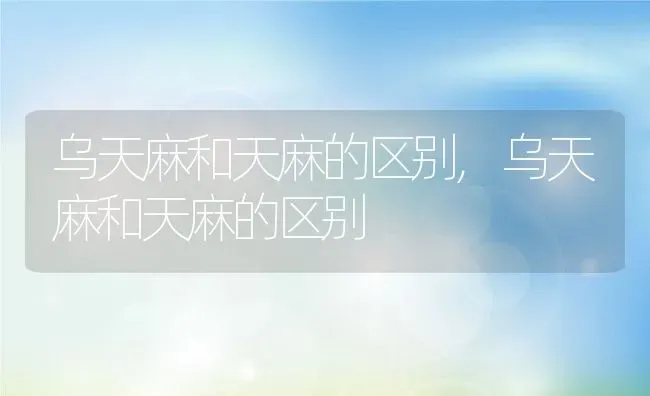 蓝莓喜阴还是喜阳,蓝莓喜阴还是喜阳 | 养殖科普