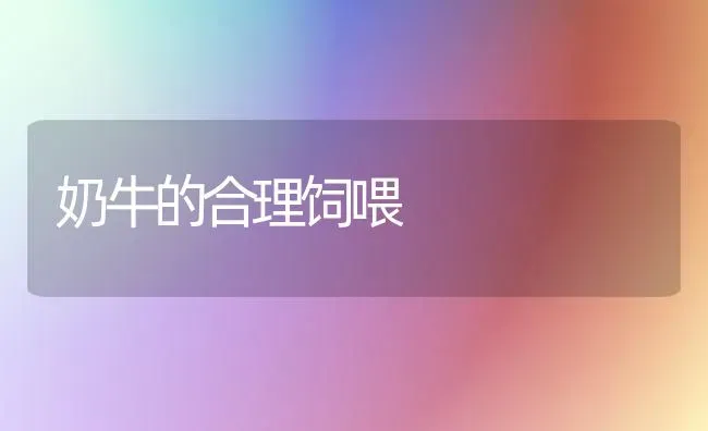 奶牛的合理饲喂 | 养殖知识