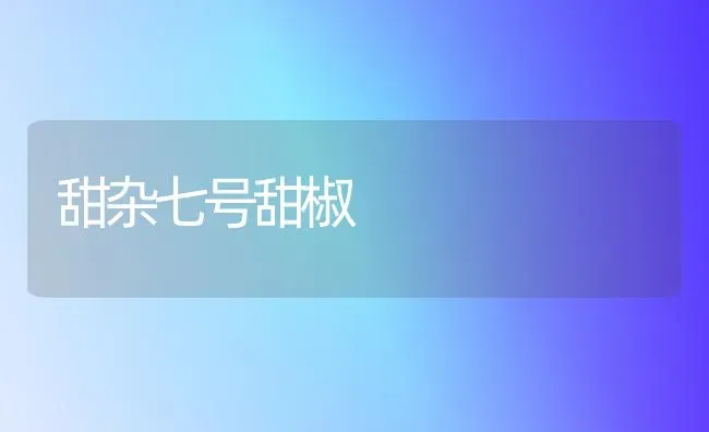 甜杂七号甜椒 | 养殖知识