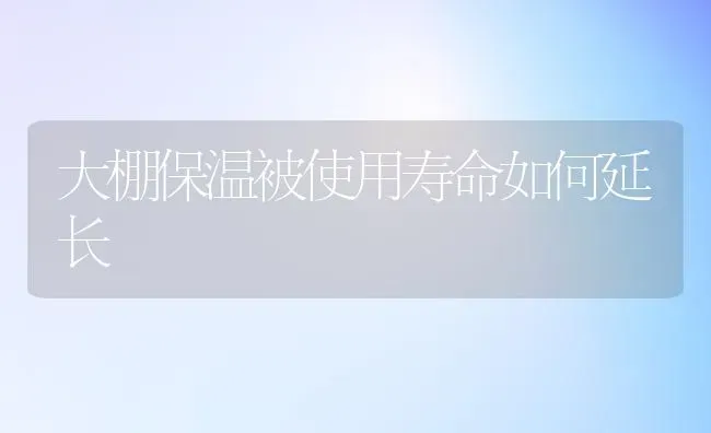 大棚保温被使用寿命如何延长 | 养殖知识