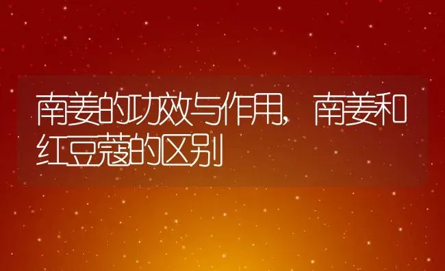 南姜的功效与作用,南姜和红豆蔻的区别 | 养殖学堂
