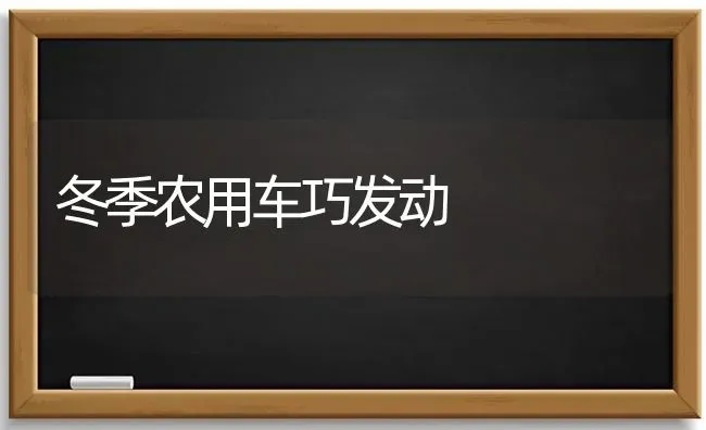 冬季农用车巧发动 | 养殖技术大全