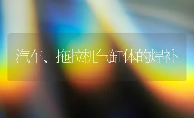 汽车、拖拉机气缸体的焊补 | 养殖知识