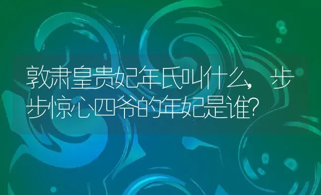 敦肃皇贵妃年氏叫什么,步步惊心四爷的年妃是谁？ | 养殖科普