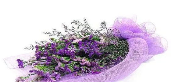 为什么送花不能送勿忘我,勿忘我花适合送长辈吗？