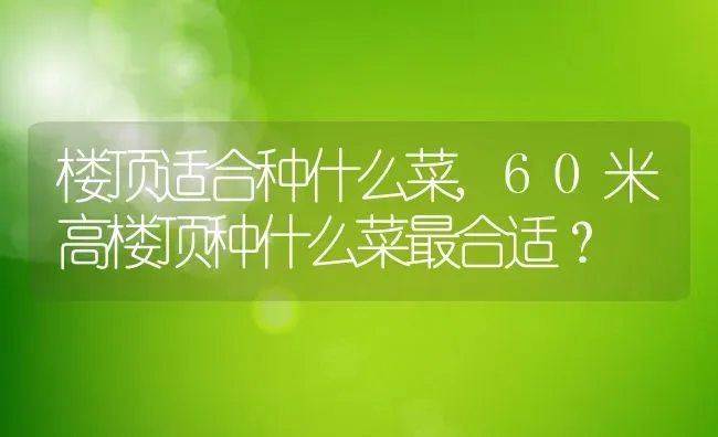 楼顶适合种什么菜,60米高楼顶种什么菜最合适？ | 养殖科普