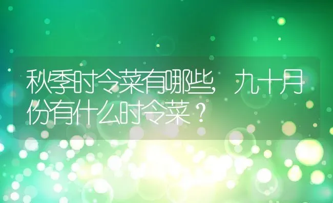 秋季时令菜有哪些,九十月份有什么时令菜？ | 养殖科普