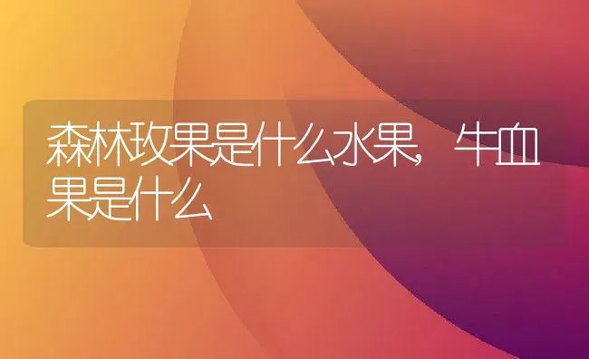 森林玫果是什么水果,牛血果是什么 | 养殖学堂