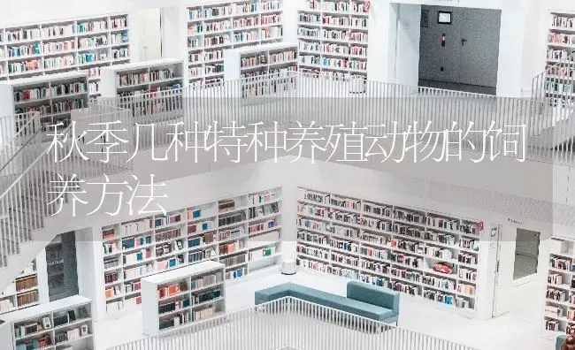 秋季几种特种养殖动物的饲养方法 | 养殖技术大全