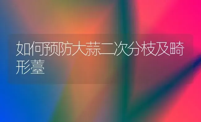 如何预防大蒜二次分枝及畸形薹 | 养殖技术大全