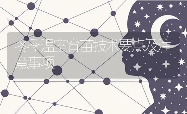 冬季温室育苗技术要点及注意事项 | 养殖技术大全