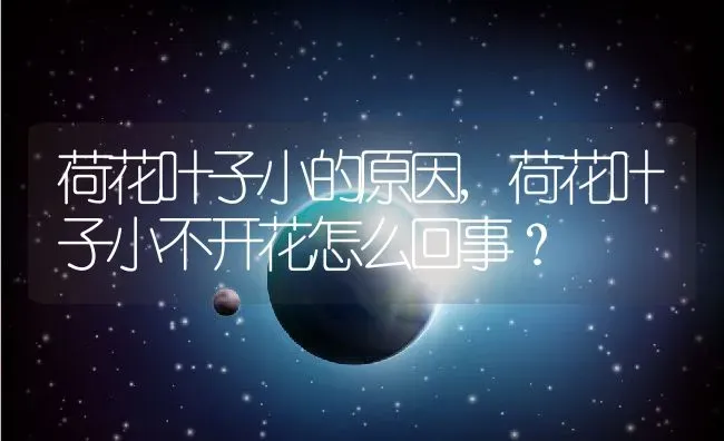 荷花叶子小的原因,荷花叶子小不开花怎么回事？ | 养殖科普