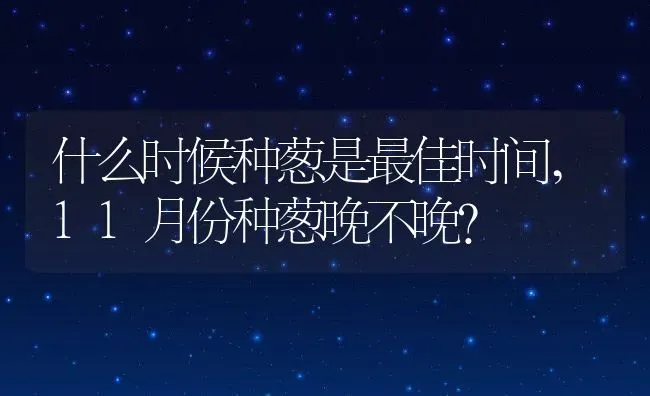 什么时候种葱是最佳时间,11月份种葱晚不晚？ | 养殖科普