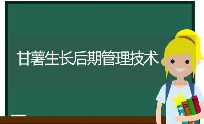 甘薯生长后期管理技术 | 养殖知识