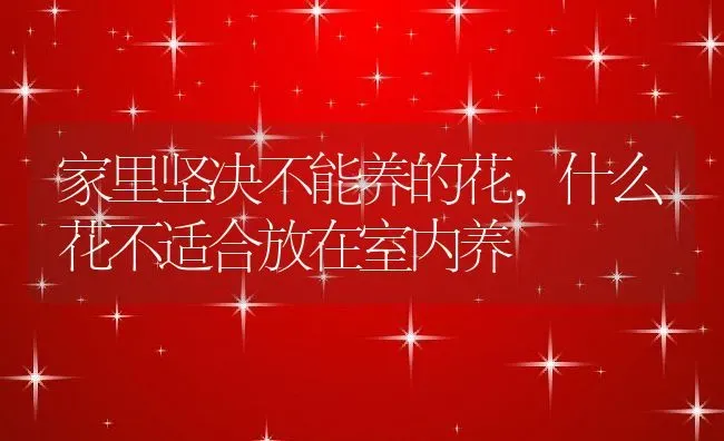 家里坚决不能养的花,什么花不适合放在室内养 | 养殖学堂