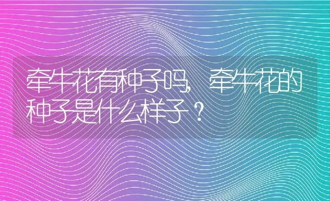 牵牛花有种子吗,牵牛花的种子是什么样子？ | 养殖科普