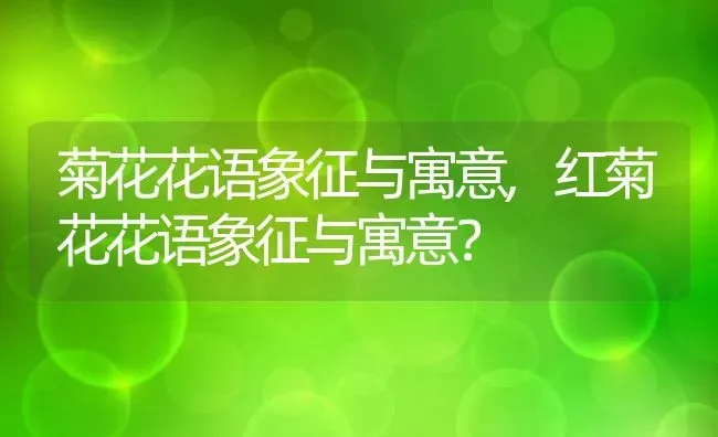 菊花花语象征与寓意,红菊花花语象征与寓意？ | 养殖科普