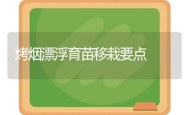 烤烟漂浮育苗移栽要点 | 养殖知识