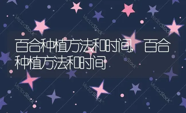 百合种植方法和时间,百合种植方法和时间 | 养殖科普