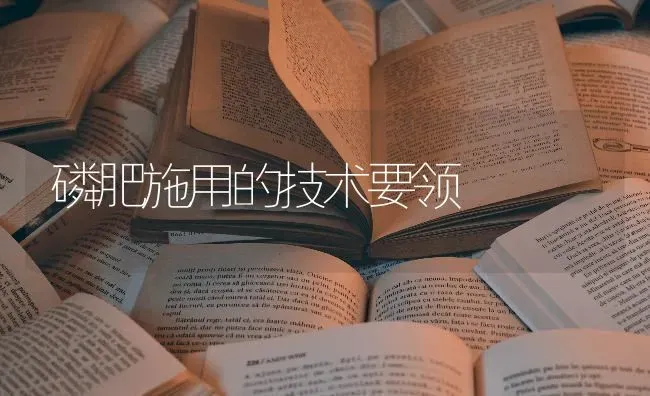 磷肥施用的技术要领 | 养殖技术大全