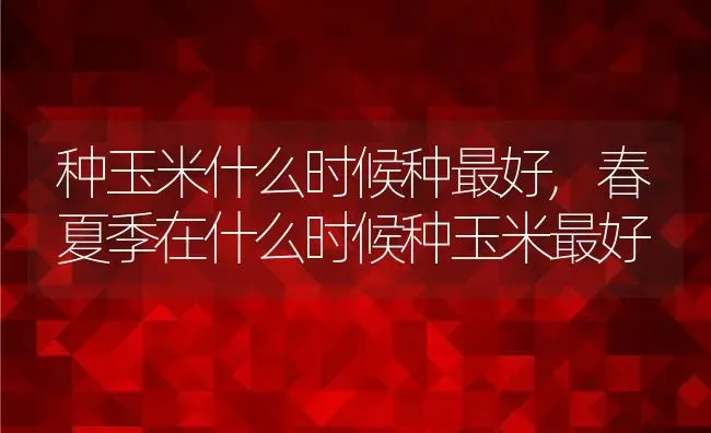 种玉米什么时候种最好,春夏季在什么时候种玉米最好 | 养殖学堂