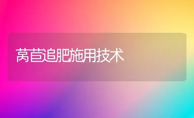 莴苣追肥施用技术 | 养殖知识