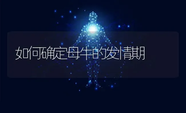 如何确定母牛的发情期 | 养殖知识