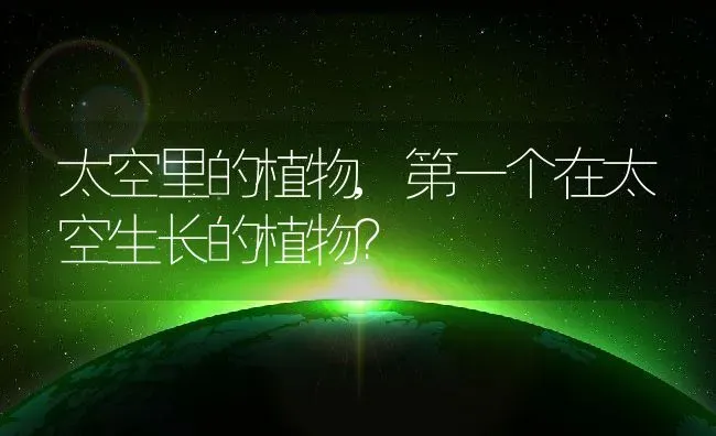 雪纳瑞怎么训练,雪纳瑞怎么训练大小便 | 养殖科普