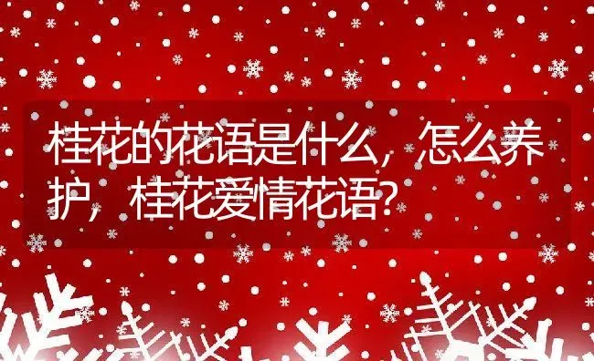 桂花的花语是什么，怎么养护,桂花爱情花语？ | 养殖科普