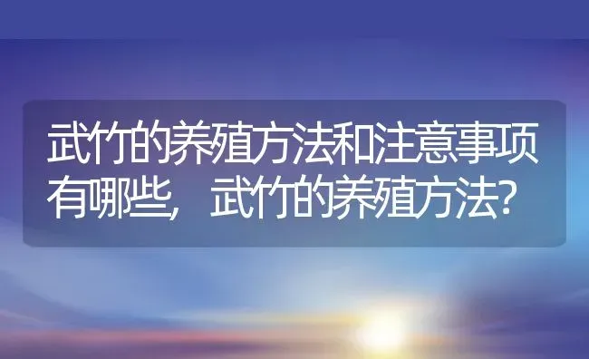 武竹的养殖方法和注意事项有哪些,武竹的养殖方法？ | 养殖科普