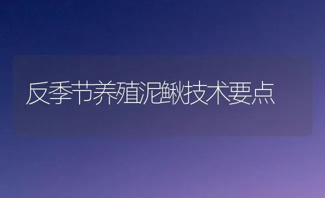 反季节养殖泥鳅技术要点 | 养殖知识