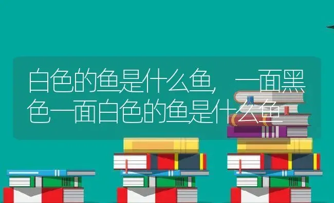 白色的鱼是什么鱼,一面黑色一面白色的鱼是什么鱼 | 养殖资料