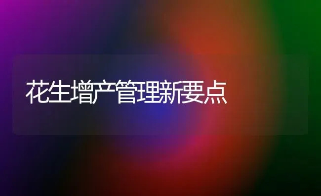 花生增产管理新要点 | 养殖技术大全