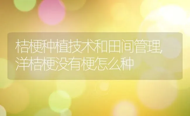 桔梗种植技术和田间管理,洋桔梗没有梗怎么种 | 养殖学堂