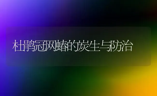 杜鹃冠网蝽的炭生与防治 | 养殖技术大全