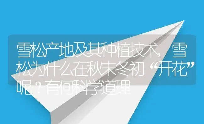 雪松产地及其种植技术,雪松为什么在秋末冬初“开花”呢？有何科学道理 | 养殖学堂