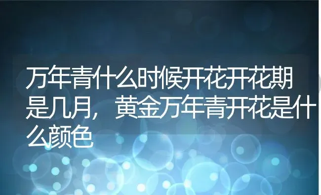 万年青什么时候开花开花期是几月,黄金万年青开花是什么颜色 | 养殖学堂
