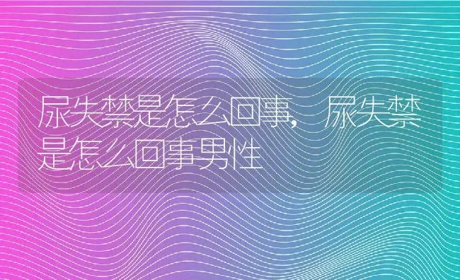 尿失禁是怎么回事,尿失禁是怎么回事男性 | 养殖科普