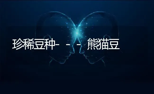 珍稀豆种---熊猫豆 | 养殖技术大全