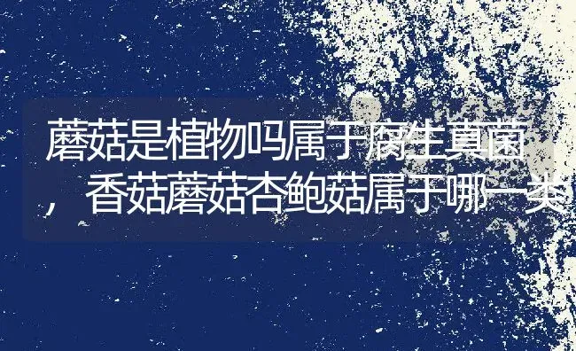 蘑菇是植物吗属于腐生真菌,香菇蘑菇杏鲍菇属于哪一类 | 养殖学堂