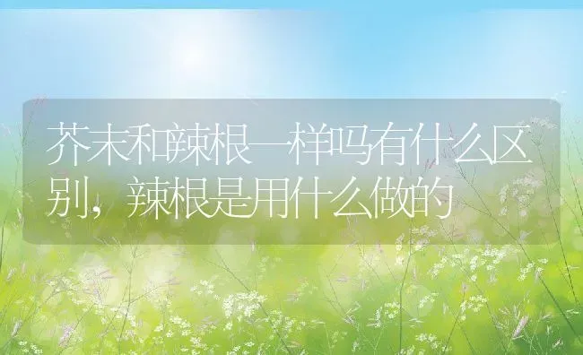 芥末和辣根一样吗有什么区别,辣根是用什么做的 | 养殖学堂