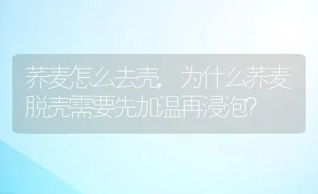 荞麦怎么去壳,为什么荞麦脱壳需要先加温再浸泡？ | 养殖学堂