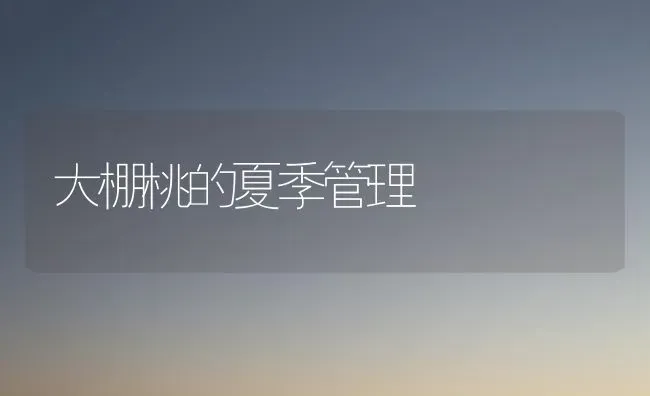 大棚桃的夏季管理 | 养殖知识