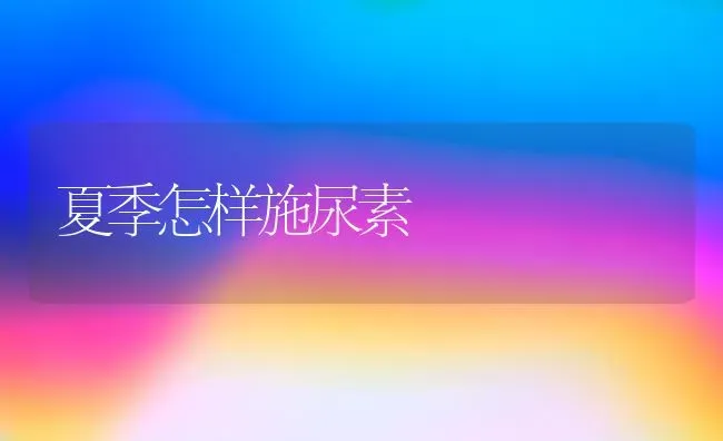 夏季怎样施尿素 | 养殖知识
