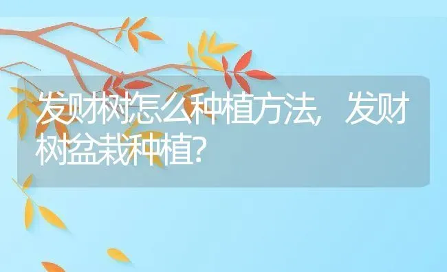 发财树怎么种植方法,发财树盆栽种植？ | 养殖科普