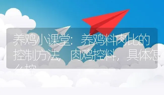 养鸡小课堂:养鸡料肉比的控制方法,肉鸡控料，具体怎么控 | 养殖学堂